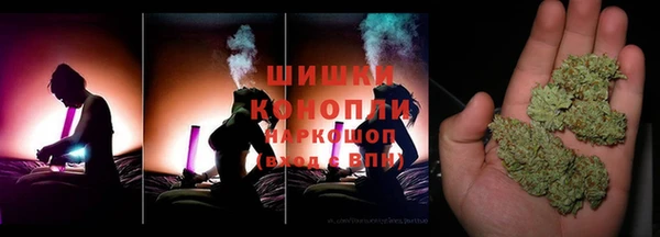 гидра Аркадак