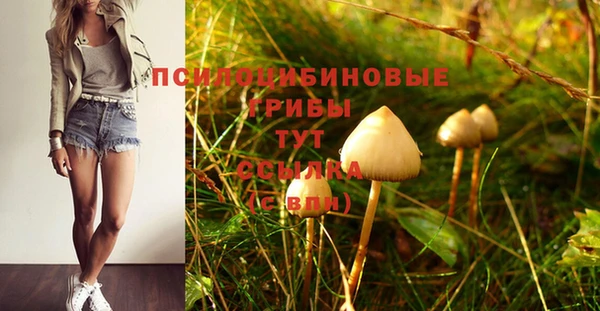 бутират Арсеньев
