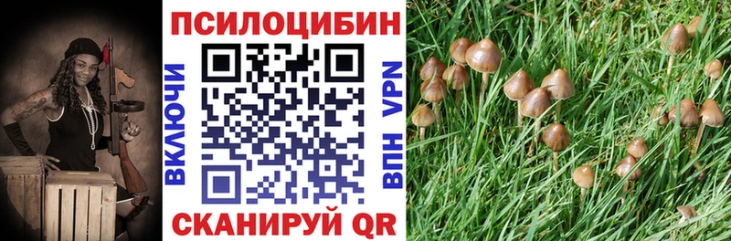 omg как зайти  Старая Купавна  Галлюциногенные грибы MAGIC MUSHROOMS 